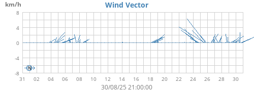 Wind Vector