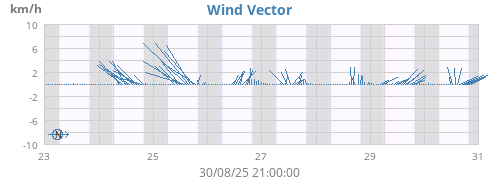 Wind Vector